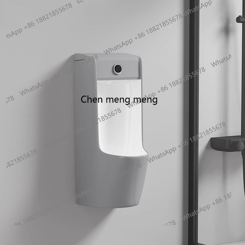 Urinal automatyczny, inteligen – Smart Home X Sense recenzja i cena