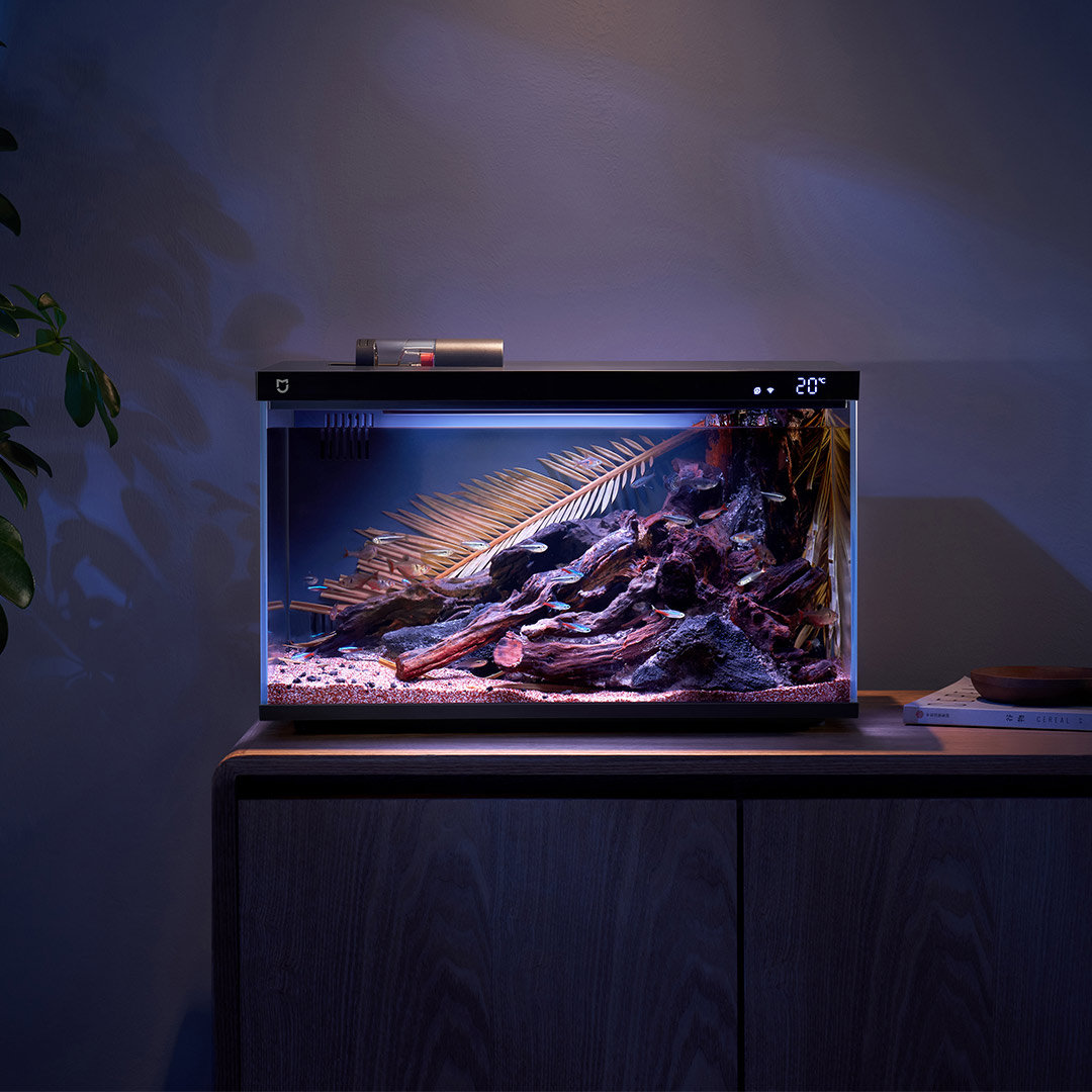 Xiaomi Mijia inteligentny akwa – Smart Home Xiaomi Devices recenzja i cena