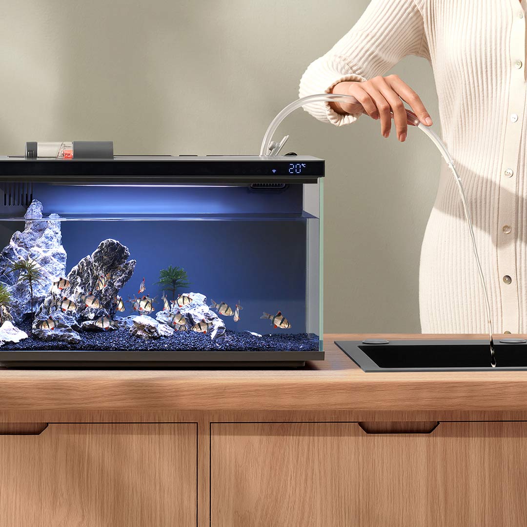 Xiaomi Mijia inteligentny akwa – Smart Home Xiaomi Devices recenzja i cena